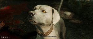 Baldurs Gate 3 – Den Hund Kratzer adoptieren
